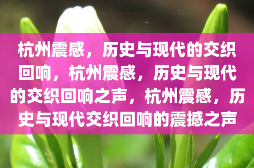 杭州震感，历史与现代的交织回响，杭州震感，历史与现代的交织回响之声，杭州震感，历史与现代交织回响的震撼之声