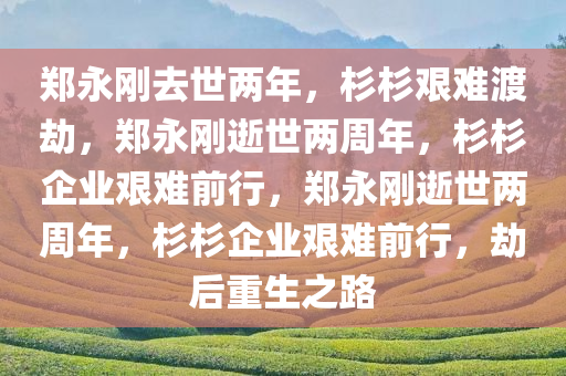 郑永刚去世两年，杉杉艰难渡劫，郑永刚逝世两周年，杉杉企业艰难前行，郑永刚逝世两周年，杉杉企业艰难前行，劫后重生之路