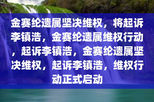 金赛纶遗属坚决维权，将起诉李镇浩，金赛纶遗属维权行动，起诉李镇浩，金赛纶遗属坚决维权，起诉李镇浩，维权行动正式启动