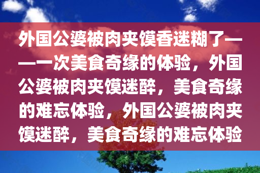 外国公婆被肉夹馍香迷糊了——一次美食奇缘的体验，外国公婆被肉夹馍迷醉，美食奇缘的难忘体验，外国公婆被肉夹馍迷醉，美食奇缘的难忘体验
