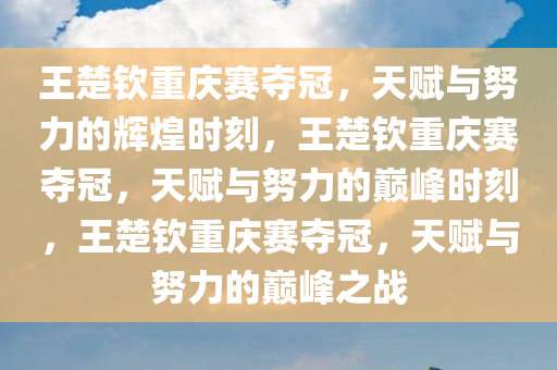 王楚钦重庆赛夺冠，天赋与努力的辉煌时刻，王楚钦重庆赛夺冠，天赋与努力的巅峰时刻，王楚钦重庆赛夺冠，天赋与努力的巅峰之战