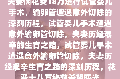 夫妻俩花费18万进行试管婴儿手术，输卵管遭遇意外切除的深刻历程，试管婴儿手术遭遇意外输卵管切除，夫妻历经艰辛的生育之路，试管婴儿手术遭遇意外输卵管切除，夫妻历经艰辛生育之路的深刻历程，花费十八万终获希望曙光