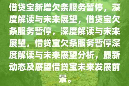 借贷宝新增欠条服务暂停，深度解读与未来展望，借贷宝欠条服务暂停，深度解读与未来展望，借贷宝欠条服务暂停深度解读与未来展望分析，最新动态及展望借贷宝未来发展前景。