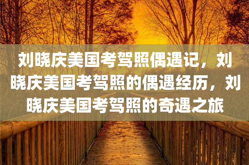 刘晓庆美国考驾照偶遇记，刘晓庆美国考驾照的偶遇经历，刘晓庆美国考驾照的奇遇之旅今晚必出三肖2025_2025新澳门精准免费提供·精确判断