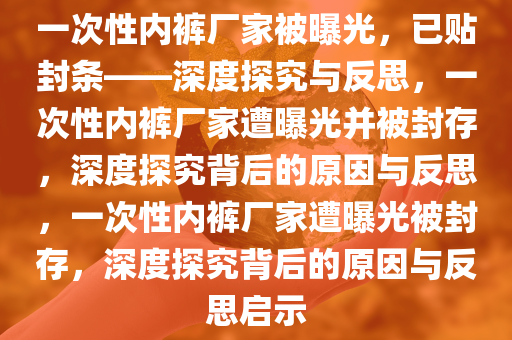一次性内裤厂家被曝光，已贴封条——深度探究与反思，一次性内裤厂家遭曝光并被封存，深度探究背后的原因与反思，一次性内裤厂家遭曝光被封存，深度探究背后的原因与反思启示