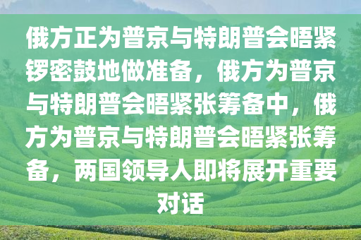 俄方正为普京与特朗普会晤紧锣密鼓地做准备，俄方为普京与特朗普会晤紧张筹备中，俄方为普京与特朗普会晤紧张筹备，两国领导人即将展开重要对话