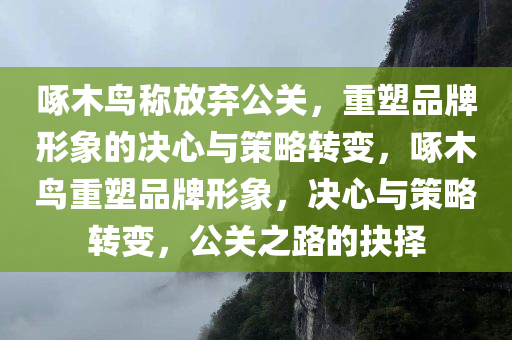 啄木鸟称放弃公关，重塑品牌形象的决心与策略转变，啄木鸟重塑品牌形象，决心与策略转变，公关之路的抉择