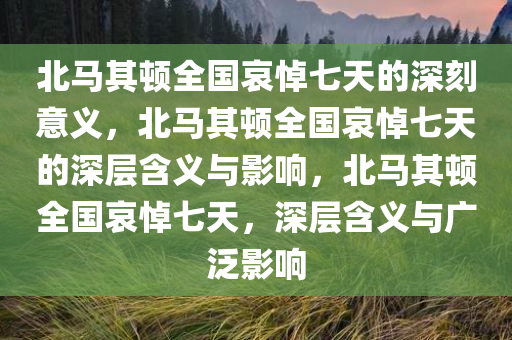 北马其顿全国哀悼七天的深刻意义，北马其顿全国哀悼七天的深层含义与影响，北马其顿全国哀悼七天，深层含义与广泛影响今晚必出三肖2025_2025新澳门精准免费提供·精确判断
