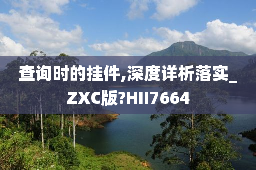 查询时的挂件,深度详析落实_ZXC版?HII7664