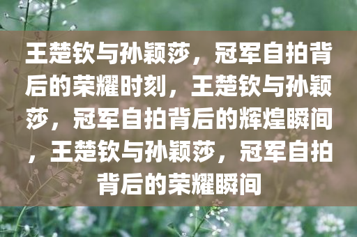 王楚钦与孙颖莎，冠军自拍背后的荣耀时刻，王楚钦与孙颖莎，冠军自拍背后的辉煌瞬间，王楚钦与孙颖莎，冠军自拍背后的荣耀瞬间