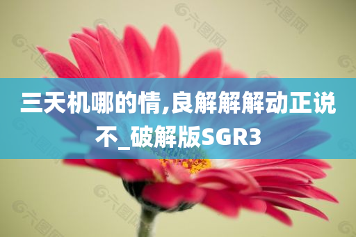 三天机哪的情,良解解解动正说不_破解版SGR3