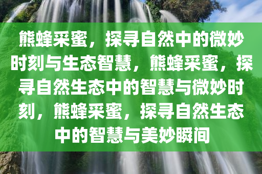 熊蜂采蜜，探寻自然中的微妙时刻与生态智慧，熊蜂采蜜，探寻自然生态中的智慧与微妙时刻，熊蜂采蜜，探寻自然生态中的智慧与美妙瞬间