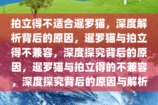 拍立得不适合暹罗猫，深度解析背后的原因，暹罗猫与拍立得不兼容，深度探究背后的原因，暹罗猫与拍立得的不兼容，深度探究背后的原因与解析今晚必出三肖2025_2025新澳门精准免费提供·精确判断