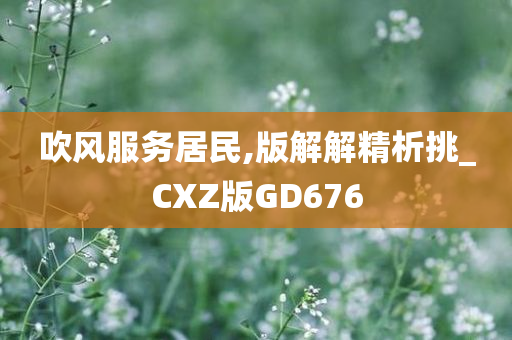 吹风服务居民,版解解精析挑_CXZ版GD676