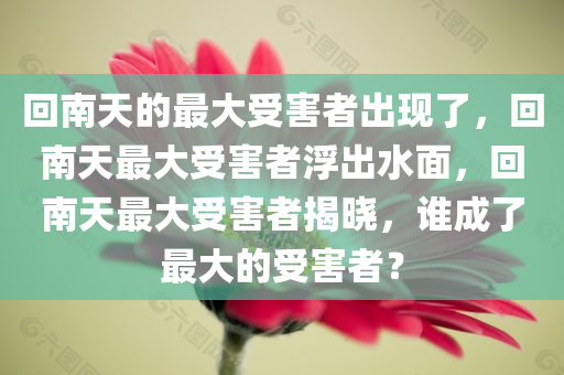 回南天的最大受害者出现了，回南天最大受害者浮出水面，回南天最大受害者揭晓，谁成了最大的受害者？