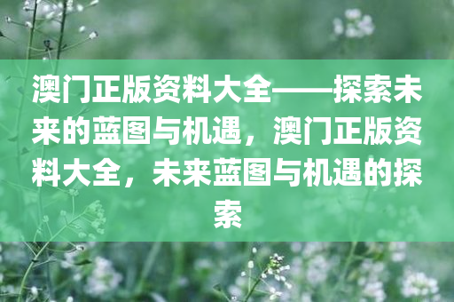 澳门正版资料大全——探索未来的蓝图与机遇，澳门正版资料大全，未来蓝图与机遇的探索