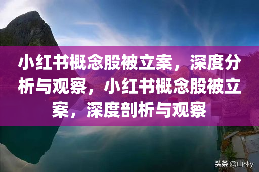 小红书概念股被立案，深度分析与观察，小红书概念股被立案，深度剖析与观察，小红书概念股被立案，深度分析与观察报告