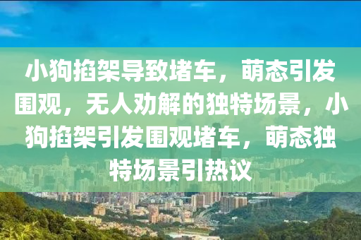 小狗掐架导致堵车，萌态引发围观，无人劝解的独特场景，小狗掐架引发围观堵车，萌态独特场景引热议，小狗掐架引发围观热潮，萌态独特场景堵车事件引热议