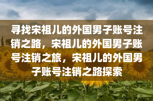 寻找宋祖儿的外国男子账号注销之路，宋祖儿的外国男子账号注销之旅，宋祖儿的外国男子账号注销之路探索