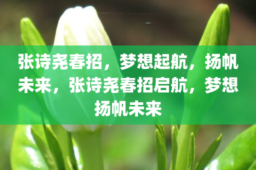 张诗尧春招，梦想起航，扬帆未来，张诗尧春招启航，梦想扬帆未来，张诗尧春招启航，梦想扬帆未来之旅