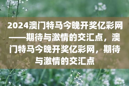 2024澳门特马今晚开奖亿彩网——期待与激情的交汇点，澳门特马今晚开奖亿彩网，期待与激情的交汇点，澳门特马今晚开奖亿彩网，期待与激情的交汇