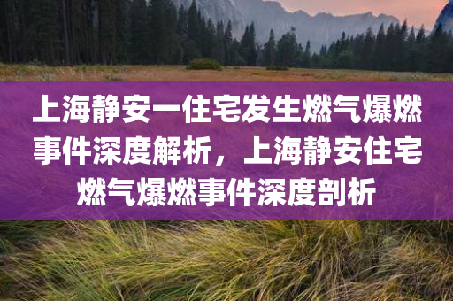 上海静安一住宅发生燃气爆燃事件深度解析，上海静安住宅燃气爆燃事件深度剖析，上海静安住宅燃气爆燃事件深度解析与剖析