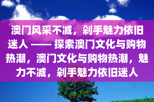 澳门风采不减，剁手魅力依旧迷人 —— 探索澳门文化与购物热潮，澳门文化与购物热潮，魅力不减，剁手魅力依旧迷人，澳门文化与购物热潮的魅力不减，魅力澳门风采依旧迷人——探索澳门文化与购物魅力之旅
