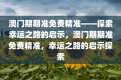 澳门期期准免费精准——探索幸运之路的启示，澳门期期准免费精准，幸运之路的启示探索，澳门期期准免费精准，探索幸运之路的启示探索