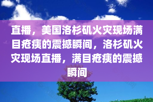 直播，美国洛杉矶火灾现场满目疮痍的震撼瞬间，洛杉矶火灾现场直播，满目疮痍的震撼瞬间，洛杉矶火灾现场直播，满目疮痍的灾难瞬间震撼人心