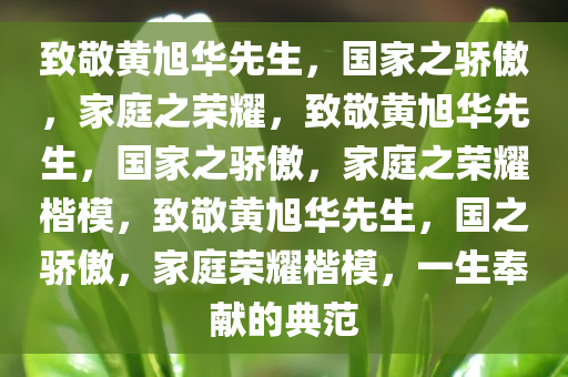 致敬黄旭华先生，国家之骄傲，家庭之荣耀，致敬黄旭华先生，国家之骄傲，家庭之荣耀楷模，致敬黄旭华先生，国之骄傲，家庭荣耀楷模，一生奉献的典范