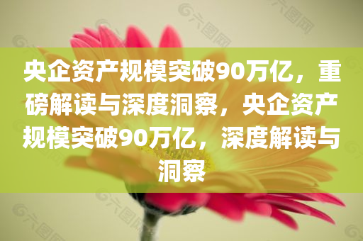 央企资产规模突破90万亿，重磅解读与深度洞察，央企资产规模突破90万亿，深度解读与洞察，央企资产规模突破90万亿，重磅解读与深度洞察分析
