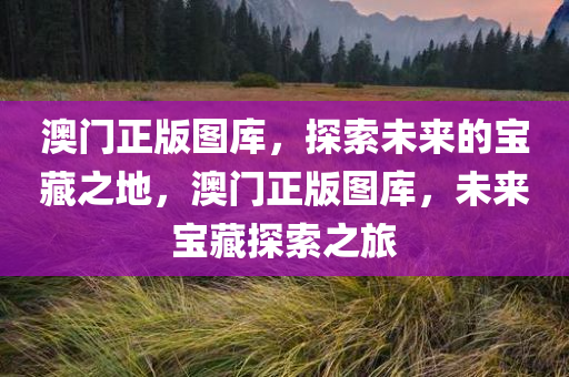 澳门正版图库，探索未来的宝藏之地，澳门正版图库，未来宝藏探索之旅，澳门正版图库，未来宝藏探索之旅启动！