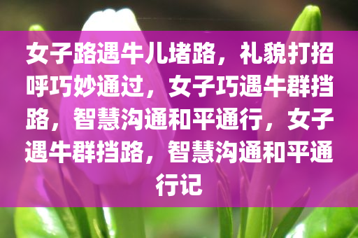 女子路遇牛儿堵路，礼貌打招呼巧妙通过，女子巧遇牛群挡路，智慧沟通和平通行