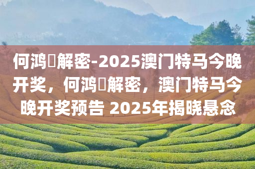 何鸿燊解密-2025澳门特马今晚开奖，何鸿燊解密，澳门特马今晚开奖预告 2025年揭晓悬念，何鸿燊解密澳门特马，2025年今晚开奖悬念揭晓！