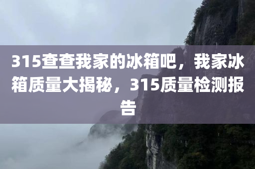 315查查我家的冰箱吧，我家冰箱质量大揭秘，315质量检测报告，我家冰箱质量大揭秘，深度解读315质量检测报告