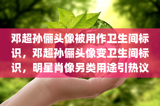 邓超孙俪头像被用作卫生间标识，邓超孙俪头像变卫生间标识，明星肖像另类用途引热议，邓超孙俪头像成卫生间标识，明星肖像另类用途引发争议热议