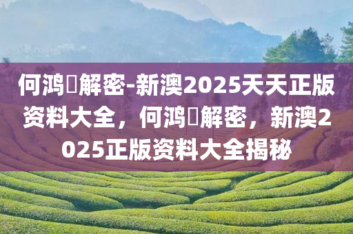 何鸿燊解密-新澳2025天天正版资料大全，何鸿燊解密，新澳2025正版资料大全揭秘