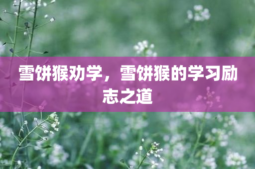 雪饼猴劝学，雪饼猴的学习励志之道，雪饼猴的学习励志之道，励志劝学之旅