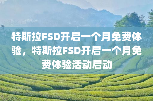 特斯拉FSD开启一个月免费体验，特斯拉FSD开启一个月免费体验活动启动，特斯拉FSD启动一个月免费体验活动