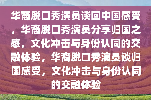华裔脱口秀演员谈回中国感受，华裔脱口秀演员分享归国之感，文化冲击与身份认同的交融体验，华裔脱口秀演员谈归国感受，文化冲击与身份认同的交融体验