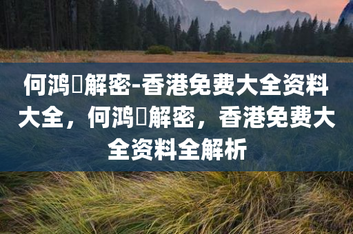 何鸿燊解密-香港免费大全资料大全，何鸿燊解密，香港免费大全资料全解析，何鸿燊解密，香港免费大全资料全解析与揭秘