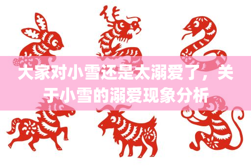 大家对小雪还是太溺爱了，关于小雪的溺爱现象分析