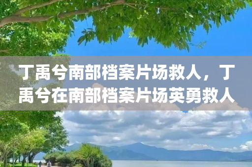 丁禹兮南部档案片场救人，丁禹兮在南部档案片场英勇救人，丁禹兮在南部档案片场英勇救人