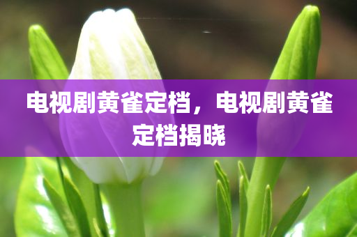 电视剧黄雀定档，电视剧黄雀定档揭晓，电视剧黄雀定档揭晓，期待已久的新篇章即将上演！
