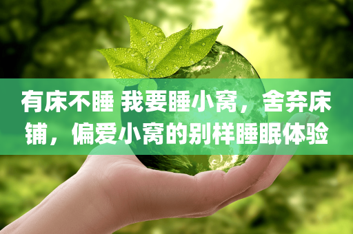 有床不睡 我要睡小窝，舍弃床铺，偏爱小窝的别样睡眠体验，别样睡眠体验，钟爱小窝，舍弃床铺的舒适选择