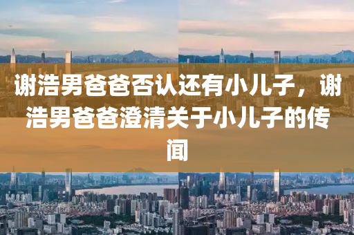 谢浩男爸爸否认还有小儿子，谢浩男爸爸澄清关于小儿子的传闻，谢浩男爸爸辟谣关于小儿子的传闻