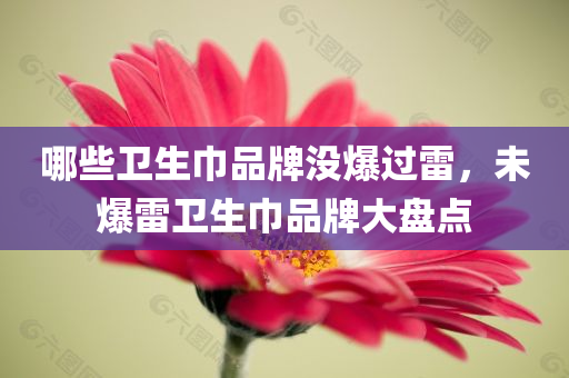 哪些卫生巾品牌没爆过雷，未爆雷卫生巾品牌大盘点，未爆雷卫生巾品牌大盘点，值得信赖的卫生巾品牌推荐