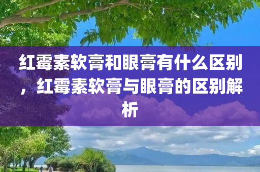 红霉素软膏和眼膏有什么区别，红霉素软膏与眼膏的区别解析，红霉素软膏与眼膏的区别解析，功能、用途及成分对比