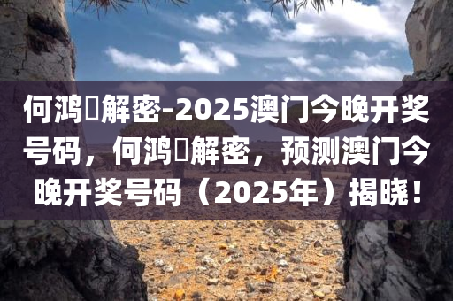 何鸿燊解密-2025澳门今晚开奖号码，何鸿燊解密，预测澳门今晚开奖号码（2025年）揭晓！，何鸿燊解密预测，澳门今晚（2025年）开奖号码揭晓！