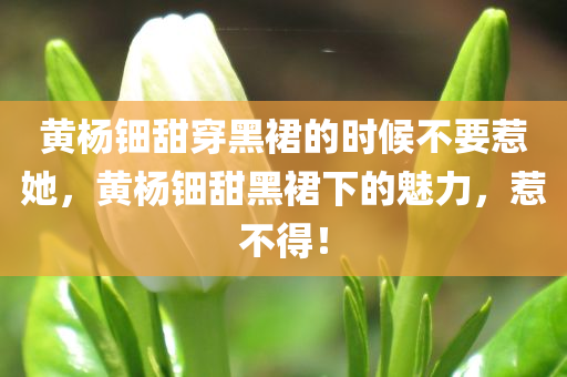黄杨钿甜穿黑裙的时候不要惹她，黄杨钿甜黑裙下的魅力，惹不得！，黄杨钿甜黑裙魅力惊艳，惹不得！